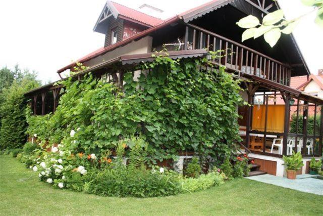 Cudodomek Na Mazurach W Woszczelach Kolo Elku ภายนอก รูปภาพ